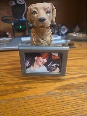Picture Frame Held By A Golden Retriever